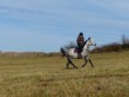 /album/fotogalerie-jizda-na-koni/p1280936-jpg/