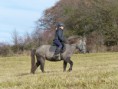 /album/fotogalerie-jizda-na-koni/p1280941-jpg/