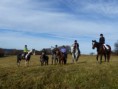 /album/fotogalerie-jizda-na-koni/p1280945-jpg/