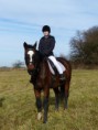 /album/fotogalerie-jizda-na-koni/p1280949-jpg/
