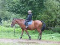 /album/fotogalerie-jezdecke-tabory-2019/p1300306-jpg/