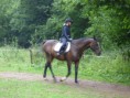 /album/fotogalerie-jezdecke-tabory-2019/p1300309-jpg/