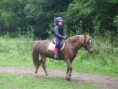 /album/fotogalerie-jezdecke-tabory-2019/p1300311-jpg/