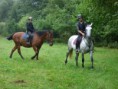 /album/fotogalerie-jezdecke-tabory-2019/p1300328-jpg/
