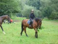 /album/fotogalerie-jezdecke-tabory-2019/p1300347-jpg/