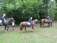 /album/fotogalerie-jezdecke-tabory-2019/p1300358-jpg/