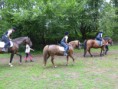 /album/fotogalerie-jezdecke-tabory-2019/p1300359-jpg/
