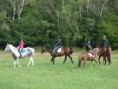 /album/fotogalerie-jezdecke-tabory-2019/p1300392-jpg/
