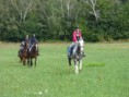 /album/fotogalerie-jezdecke-tabory-2019/p1300399-jpg/