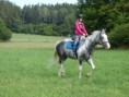 /album/fotogalerie-jezdecke-tabory-2019/p1300402-jpg/