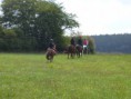 /album/fotogalerie-jezdecke-tabory-2019/p1300409-jpg/